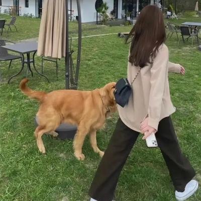 玉米田的小孩6